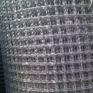 double crimped wire mesh