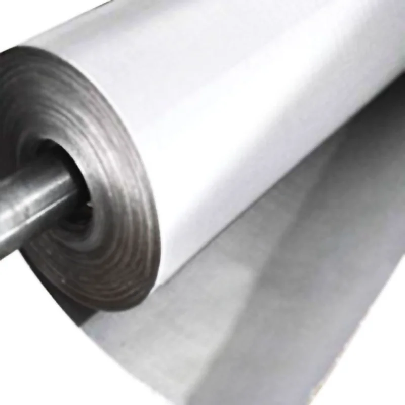 stainless steel woven mesh wire mesh/wire netting